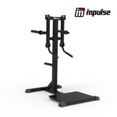 Impulse IFP1103 Standing Lateral Raise
